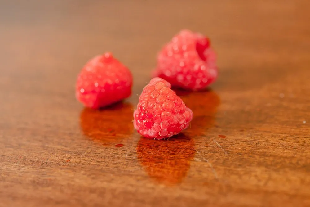 Caroline Raspberry Bush