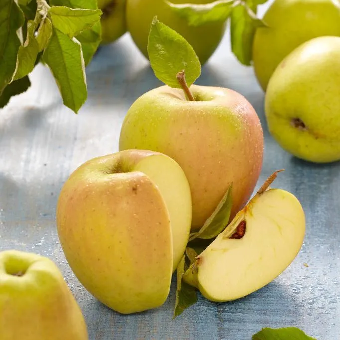 'Golden Delicious' Apple Tree