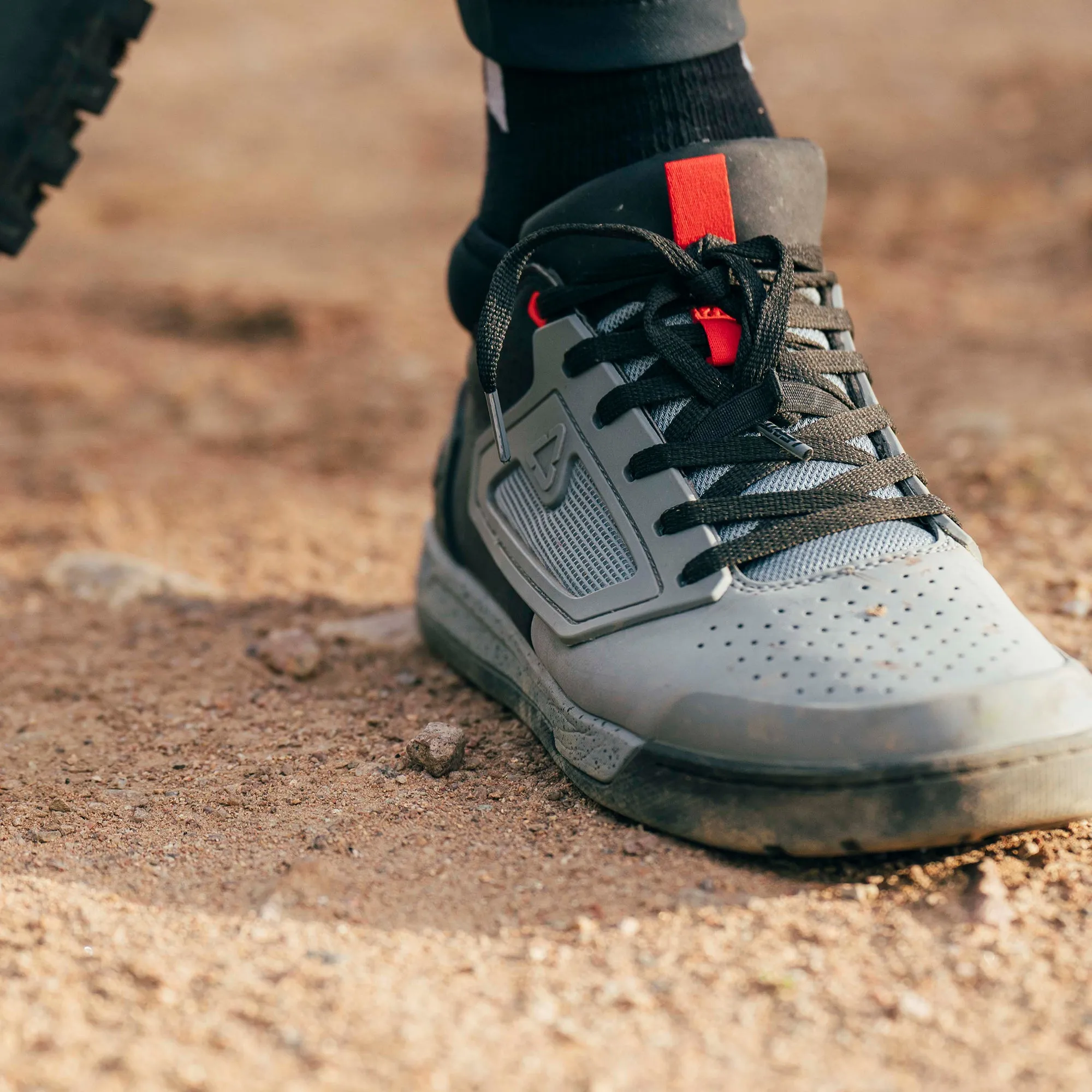 Shoe 3.0 Flat - Titanium