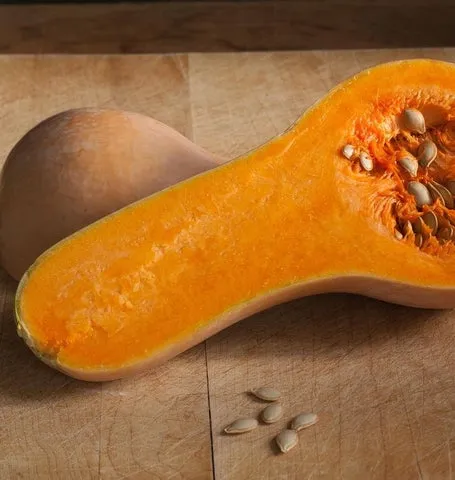 Squash — Waltham Organic