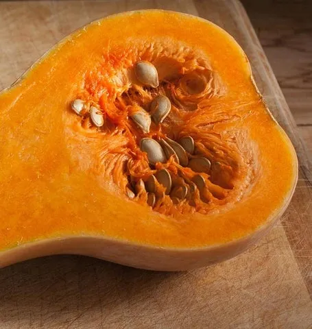 Squash — Waltham Organic