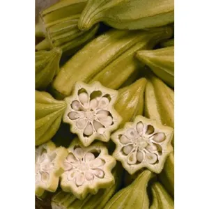 Star of David Okra (Heirloom, 65 Days)